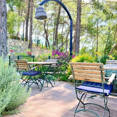 Forest Largely Designed Private With Pool And Garden Βίλα *
