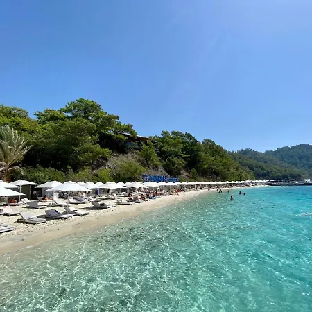 Βίλα Forest Largely Designed Private With Pool And Garden *
